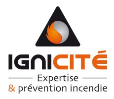 LOGO_IGNICITE_Original